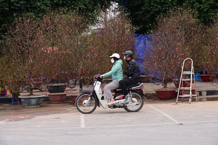 Không khí Tết nhộn nhịp tại khu chợ hoa xuân sớm nhất của Thủ đô 48 Không khí Tết nhộn nhịp tại khu chợ hoa xuân sớm nhất của Thủ đô 20