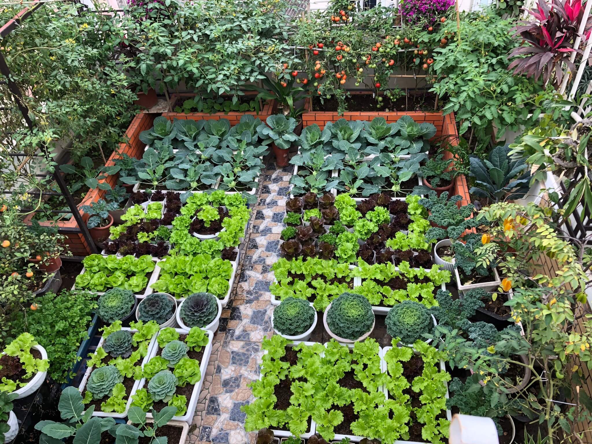 Ngỡ ngàng với những khu vườn sân thượng đón tết đẹp như mơ 11