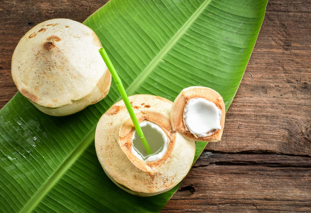 lợi ích của nước dừa