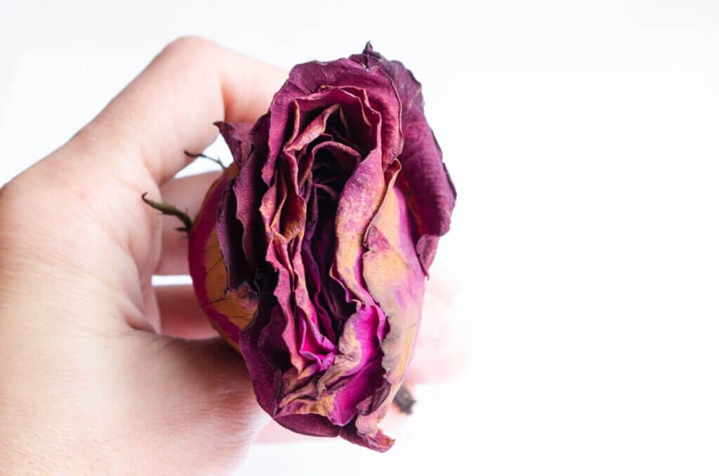 Khô âm đạo sau khi sinh