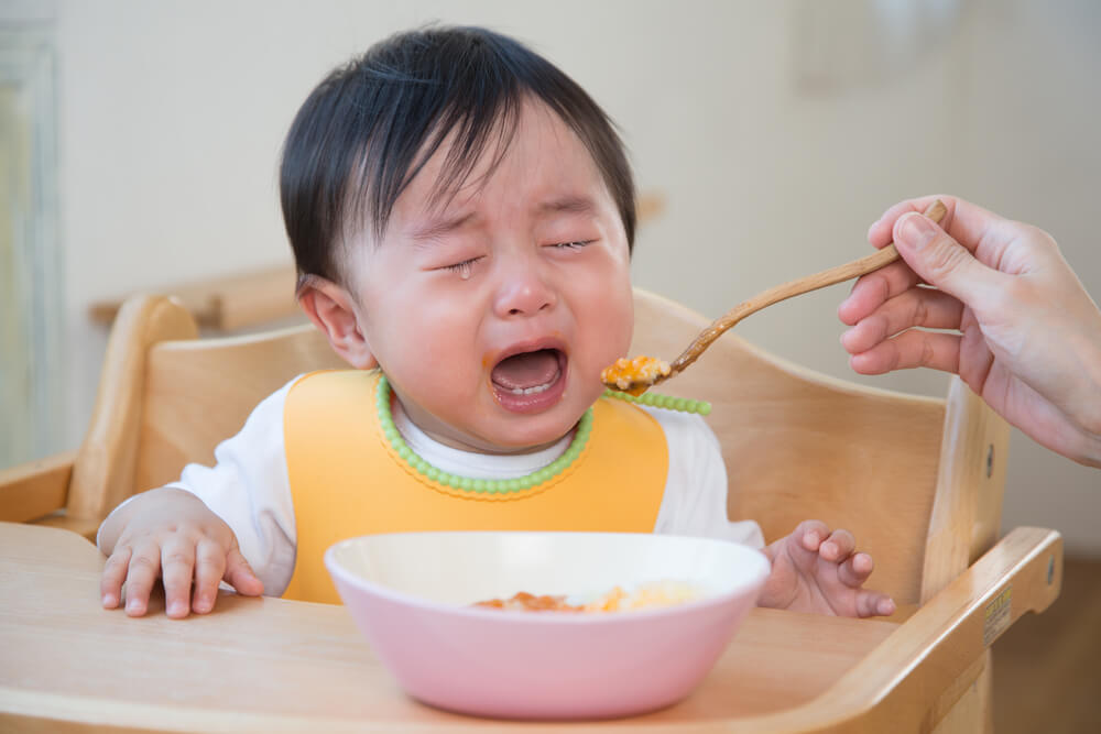 thực đơn cho trẻ ăn dặm thực đơn cho trẻ ăn dặm