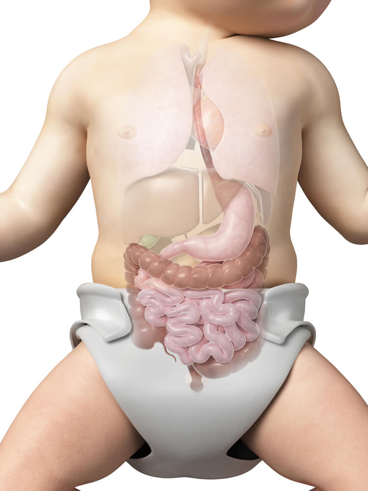 Vì sao cần tăng cường hệ tiêu hóa cho bé tăng cường hệ tiêu hóa
