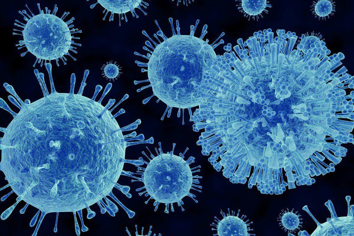 Virus siêu vi là gì Virus siêu vi là gì