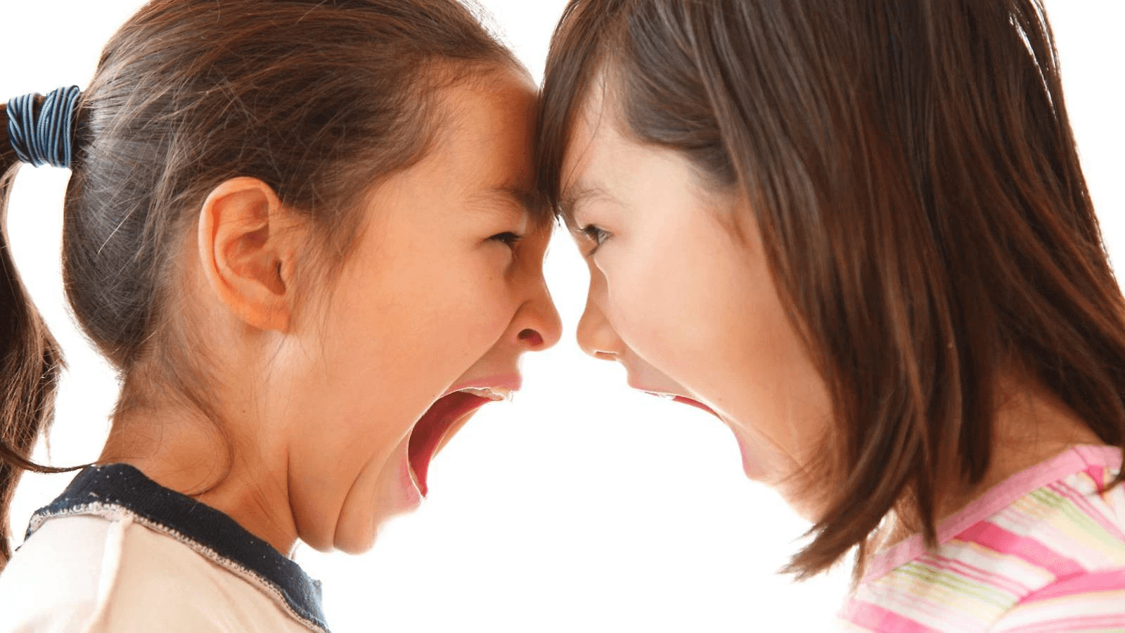 xử lý anh em đánh nhau