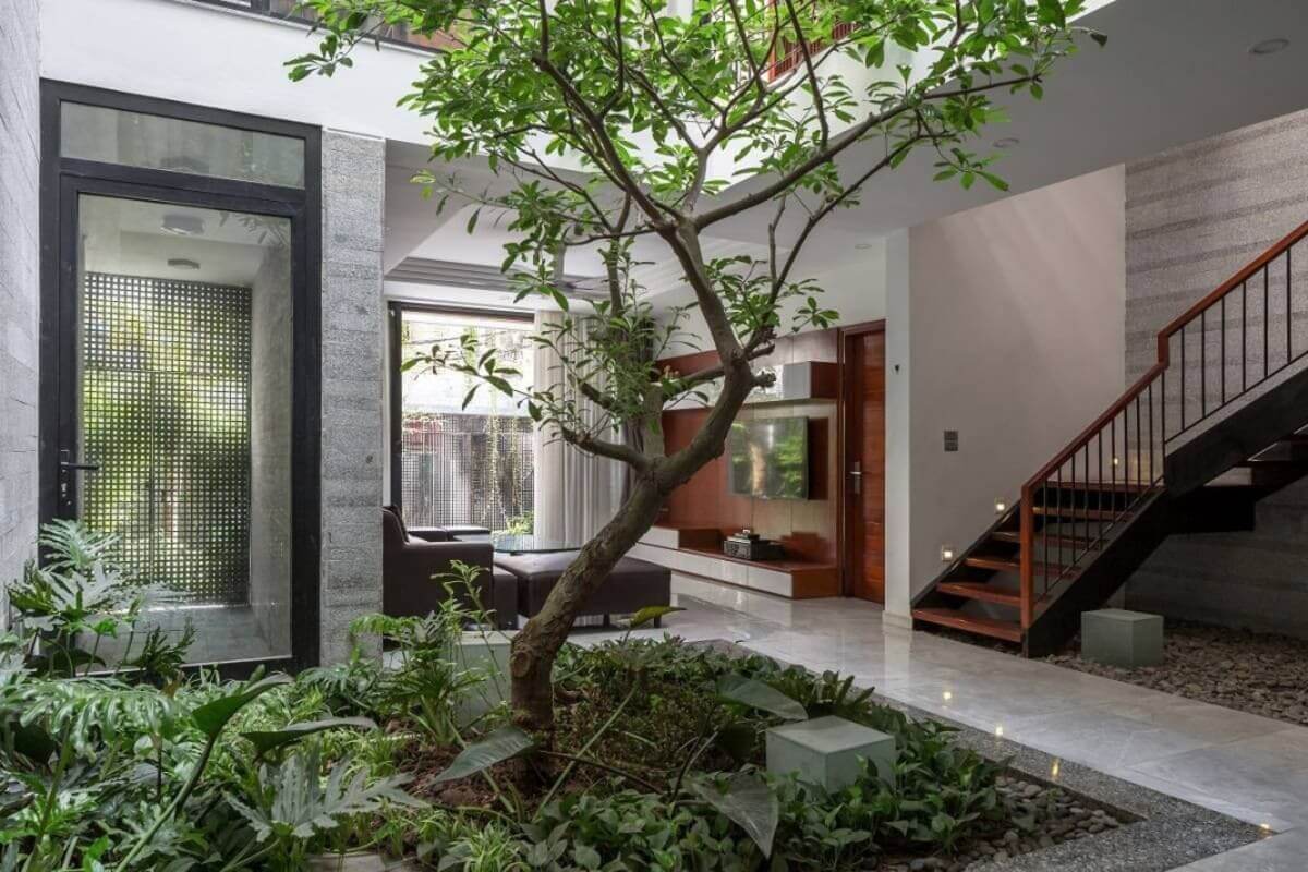 cây trồng giếng trời bao lâu chăm sóc một lần cây trồng giếng trời bao lâu chăm sóc một lần