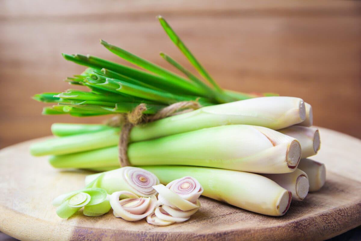 công dụng của cây sả giúp giải độc