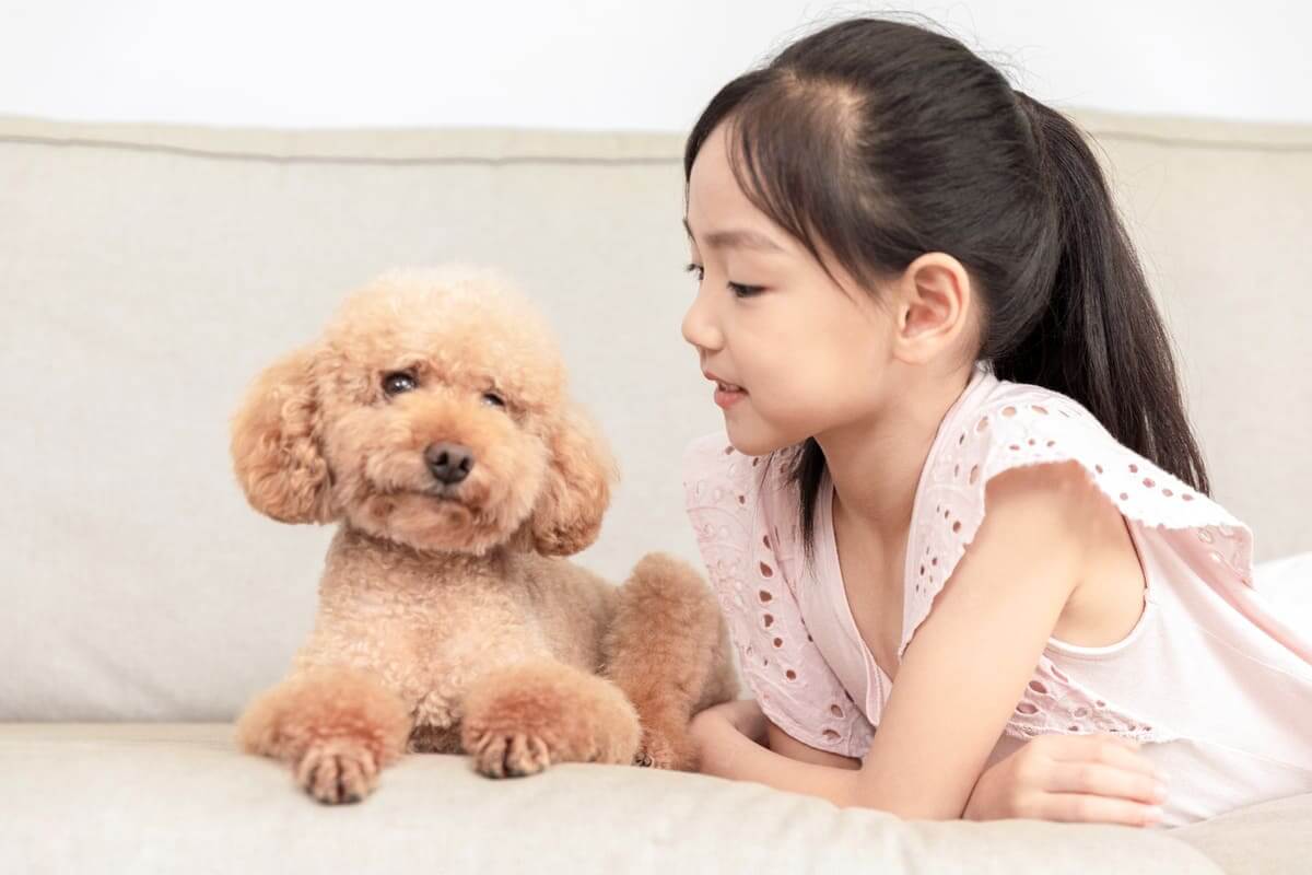Cách dạy con tử tế qua việc ăn nói chừng mực Cách dạy con tử tế qua việc ăn nói chừng mực