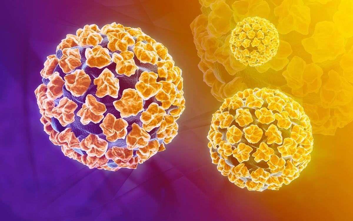 nhiễm hpv