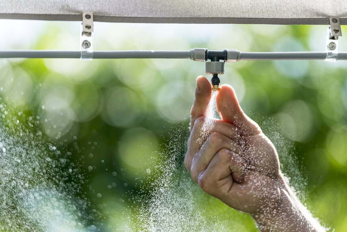 10+ Giải pháp tiết kiệm nước, giảm thiểu chi tiêu mỗi tháng cho cả gia đình 38 tưới cây