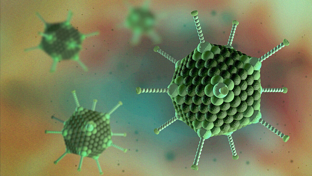 Virus Adeno virus adeno