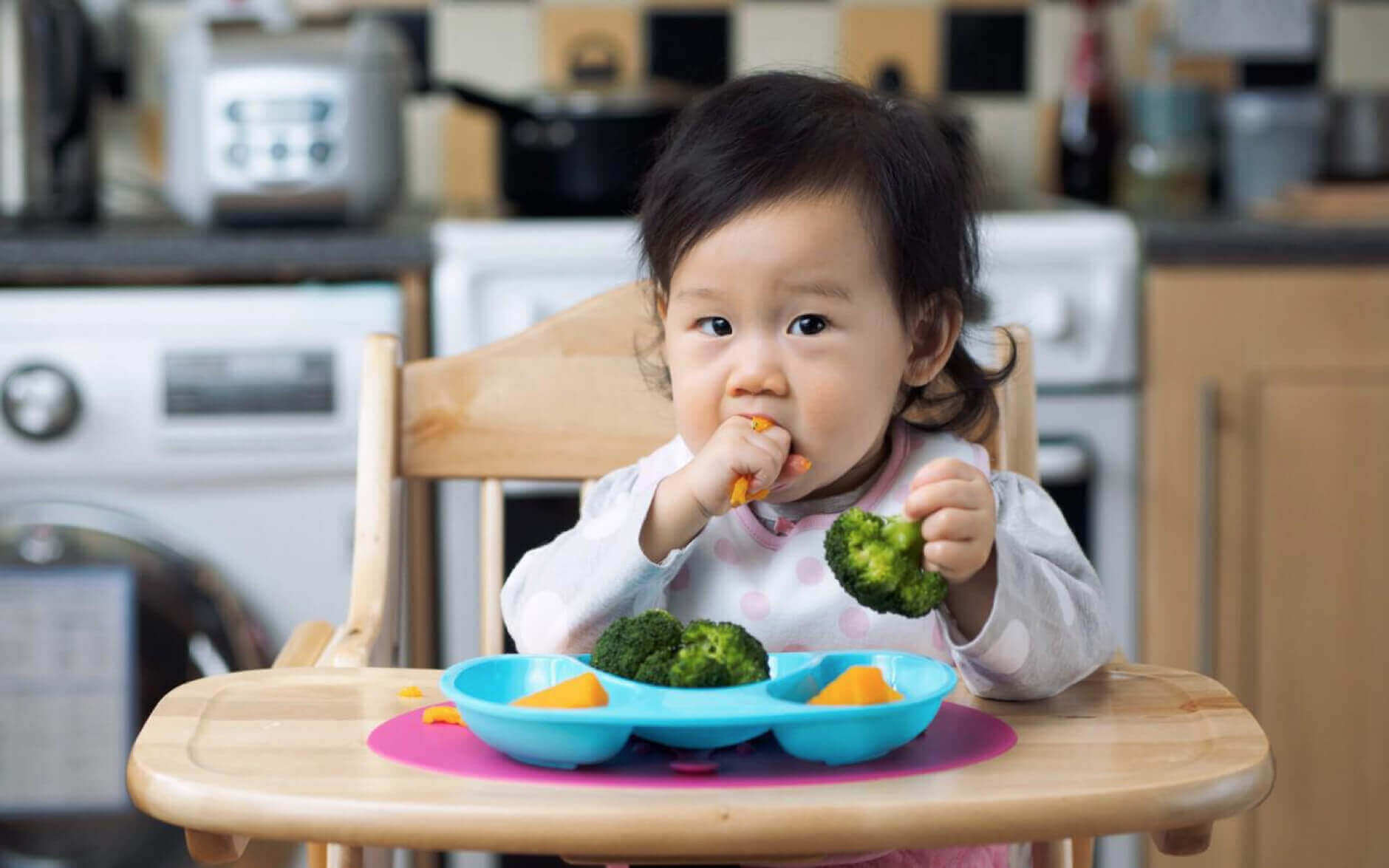 biếng ăn sinh lý ở trẻ 8 tháng tuổi biếng ăn sinh lý ở trẻ 8 tháng tuổi
