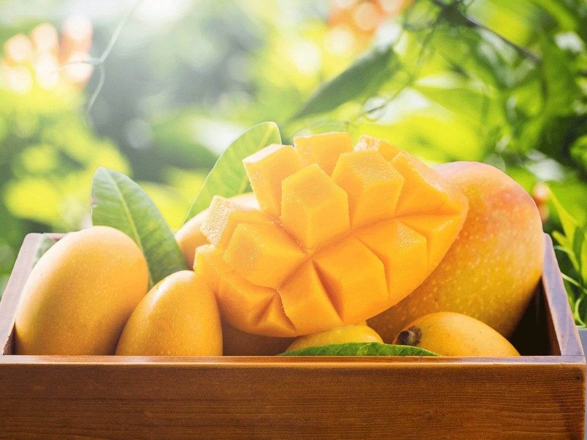 xoài trái cây giải nhiệt mùa hè