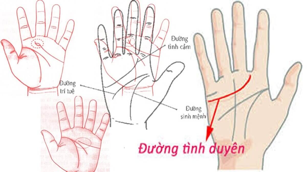 Đường chỉ tay hôn nhân Đường chỉ tay hôn nhân