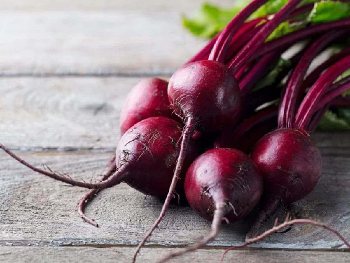 vai trò dinh dưỡng của củ dền vai trò dinh dưỡng của củ dền