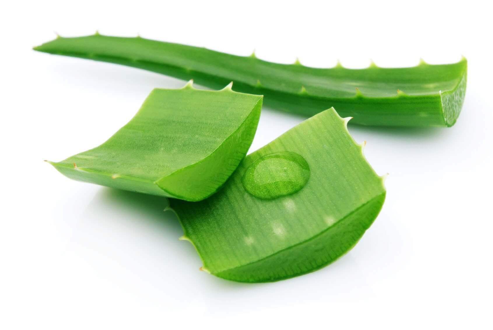 cách trị mụn viêm đỏ kết hợp nha đam cách trị mụn viêm đỏ kết hợp nha đam