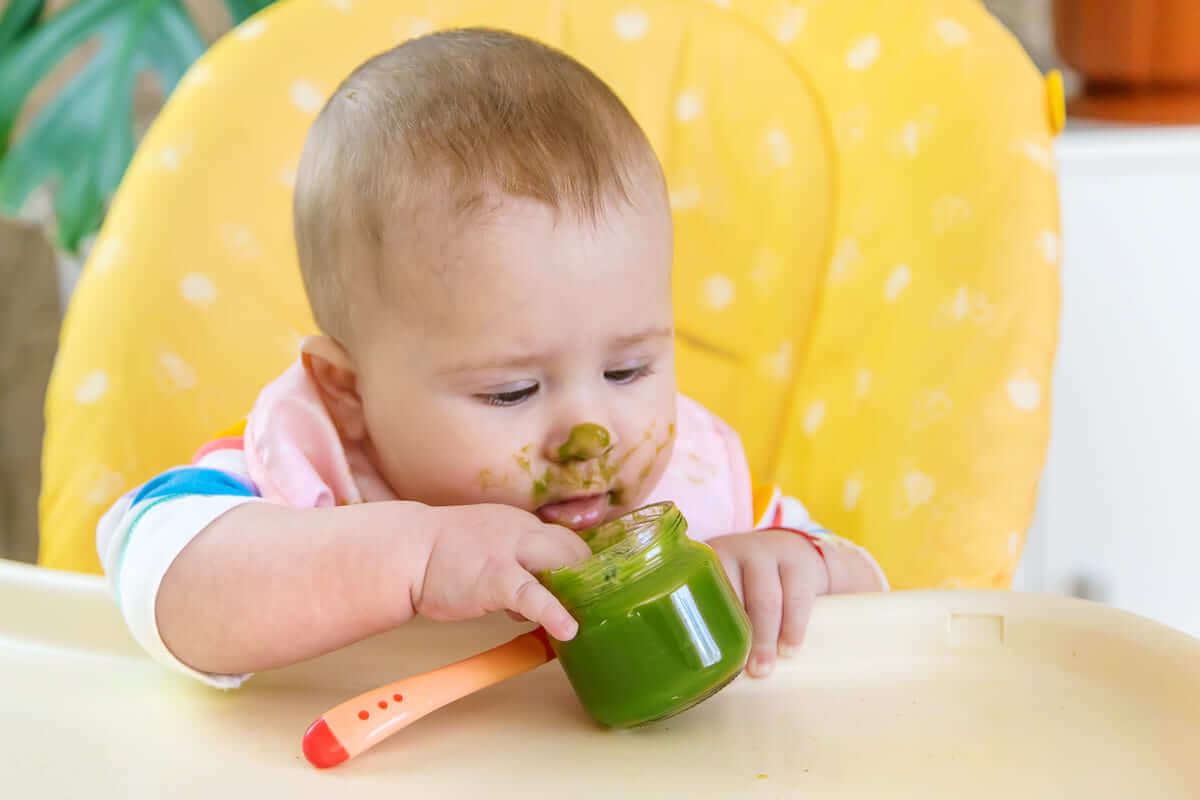 Bé bao nhiêu tuổi có thể ăn được cải kale Bé bao nhiêu tuổi có thể ăn được cải kale