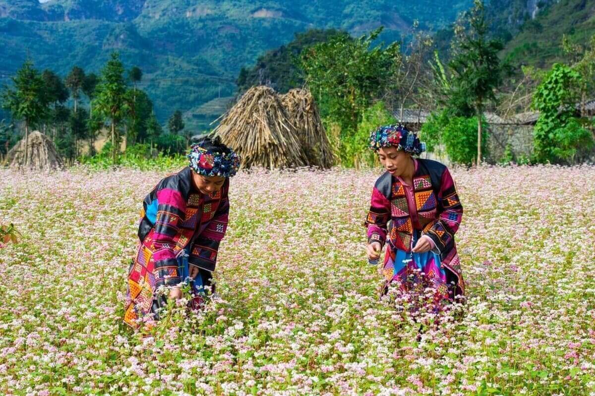 Thôn nữ Hà Giang Thôn nữ Hà Giang
