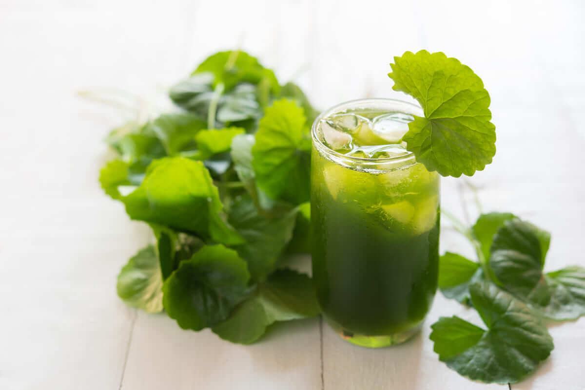 thức uống mát gan - nước rau má thức uống mát gan - nước rau má