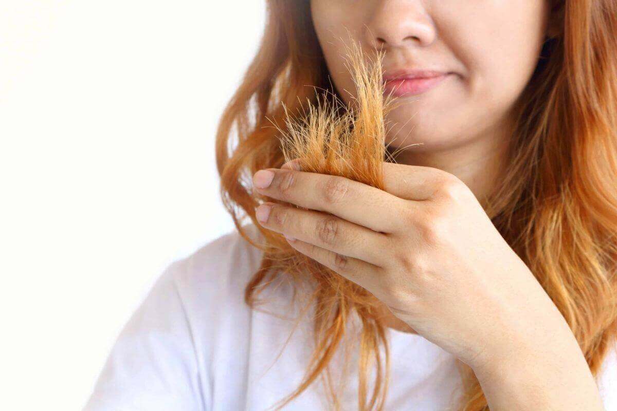 tóc chẻ ngọn
