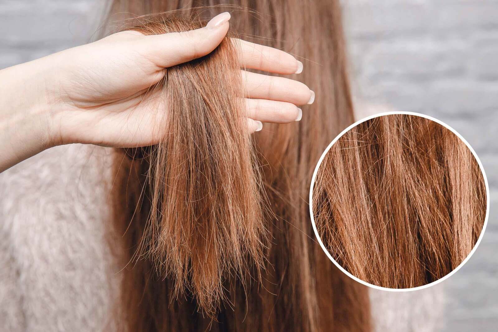 tóc chẻ ngọn tóc chẻ ngọn