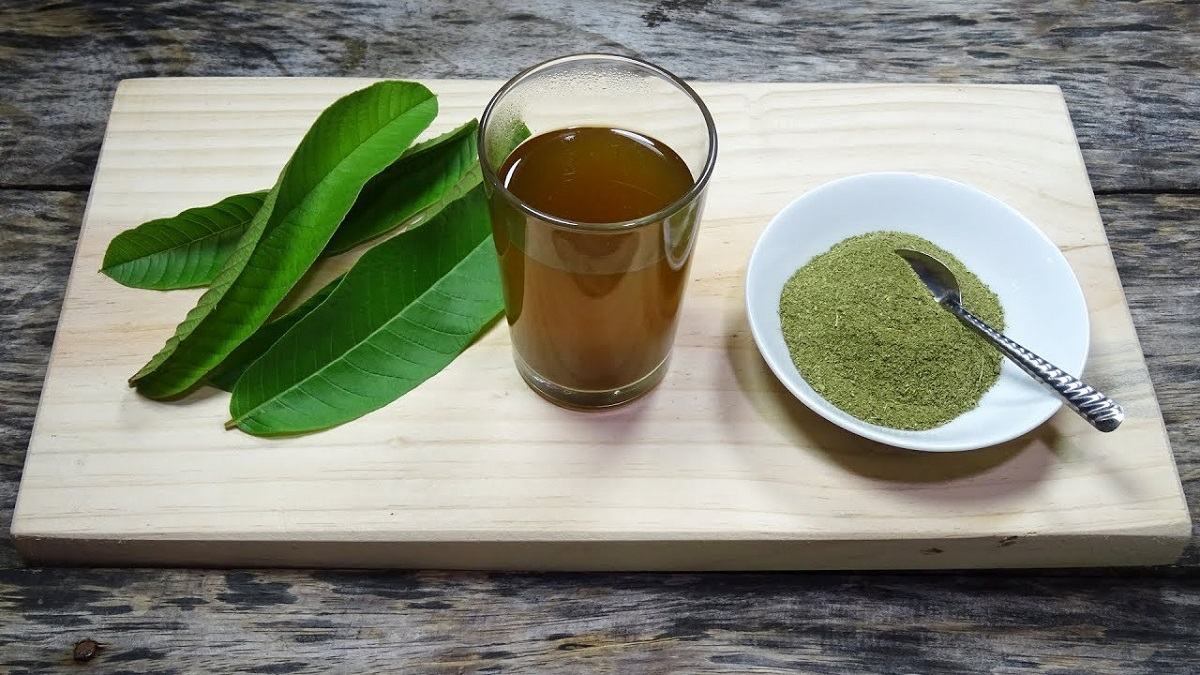 Uống trà lá ổi trị hôi miệng Uống trà lá ổi trị hôi miệng