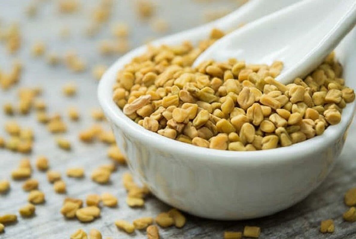cỏ cà ri có lợi sữa không cỏ cà ri có lợi sữa không