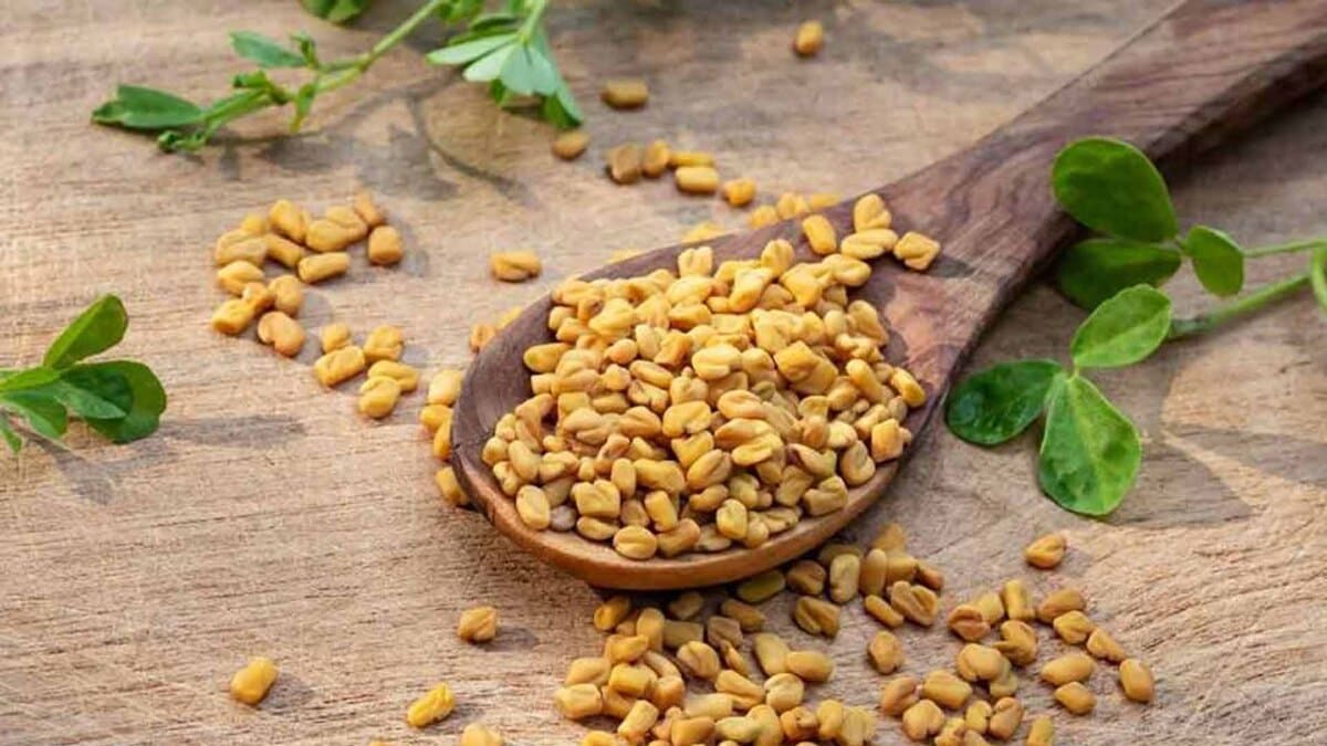 cỏ cà ri giúp tăng đề kháng cỏ cà ri giúp tăng đề kháng