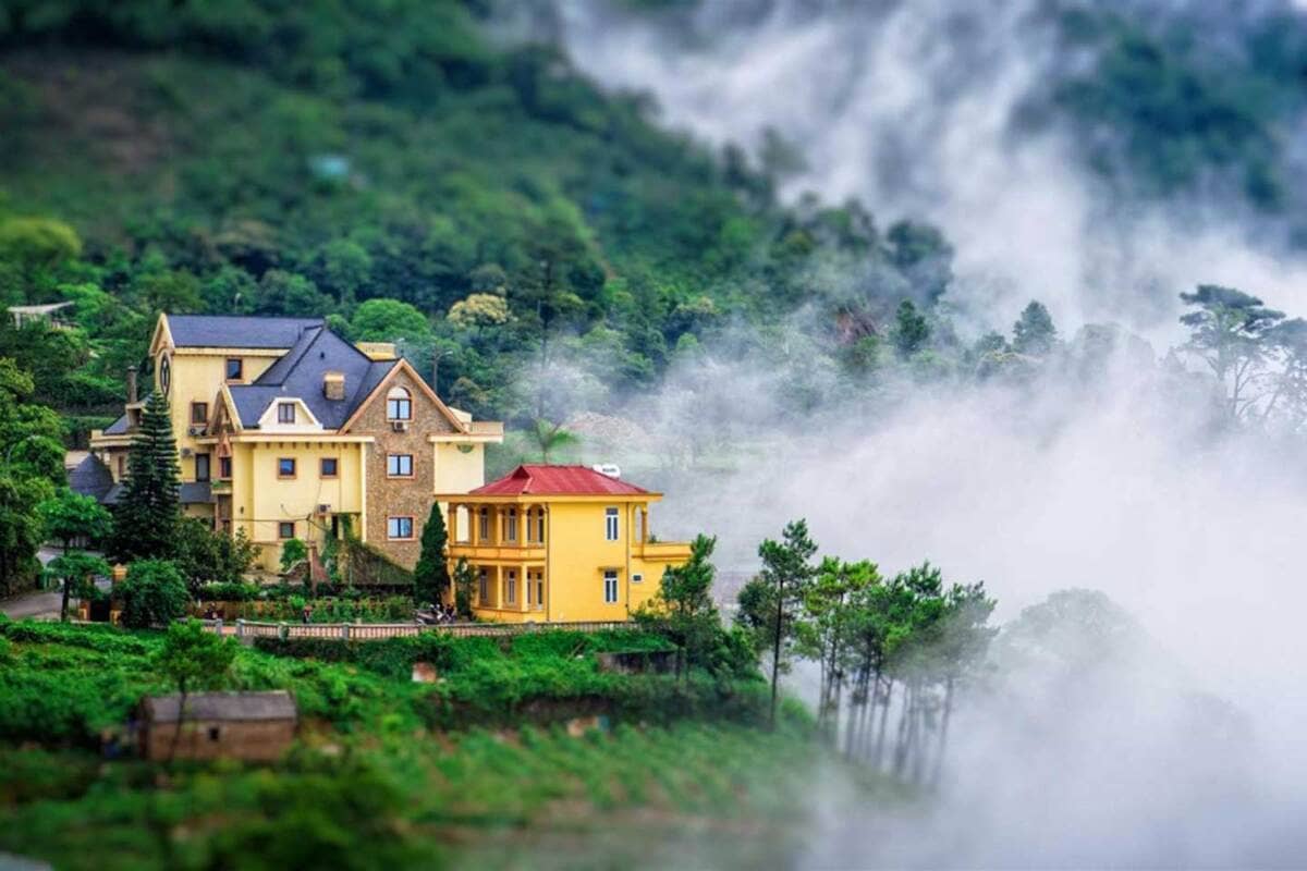 Kinh nghiệm du lịch Tam Đảo