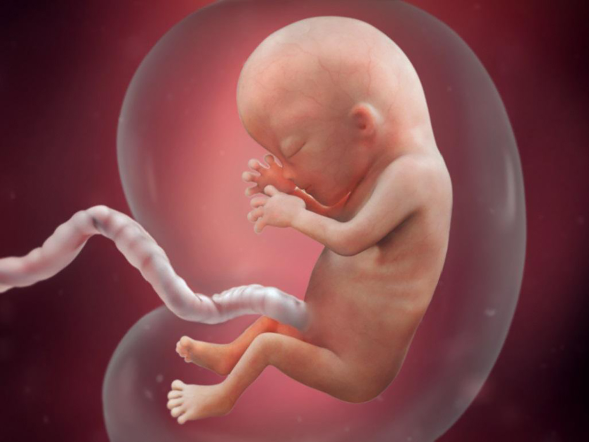 Nhiễm trùng sơ sinh là gì - Cách chăm sóc trẻ nhiễm trùng sơ sinh 34 Nhiễm trùng sơ sinh có nguy hiểm không?