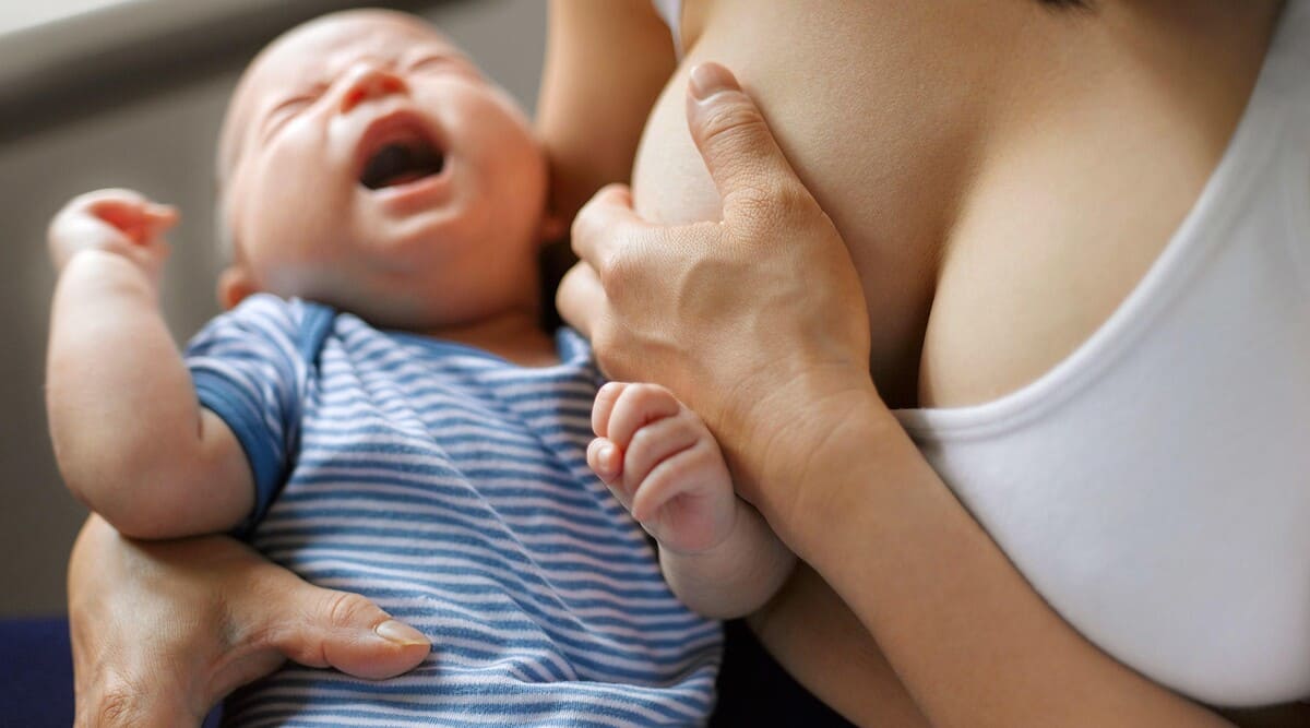 Tác hại của bệnh nứt cổ gà Tác hại của bệnh nứt cổ gà