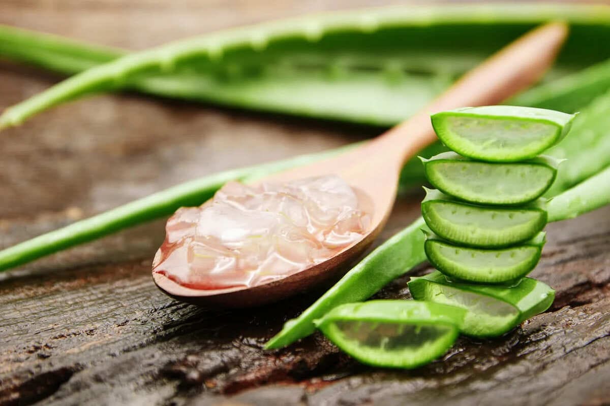 Cách dưỡng trắng da mặt bằng nha đam Cách dưỡng trắng da mặt bằng nha đam