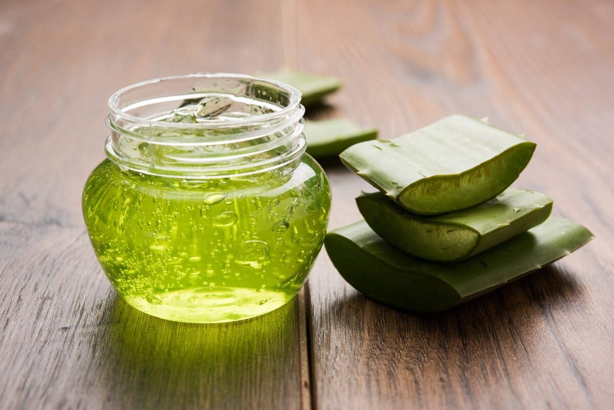 cách làm kem dưỡng da bằng nha đam cách làm kem dưỡng da bằng nha đam