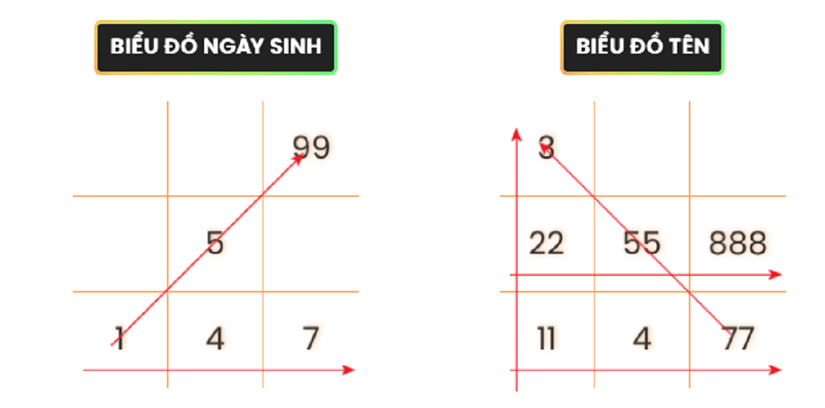 biểu đồ ngày sinh và tên 