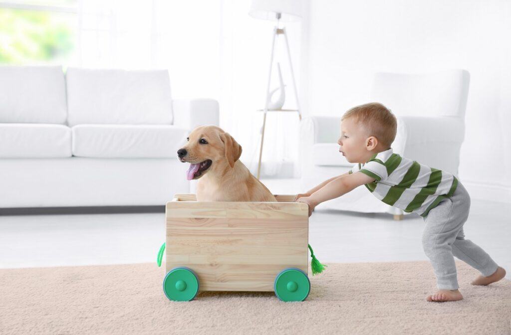 dấu hiệu bệnh sán chó