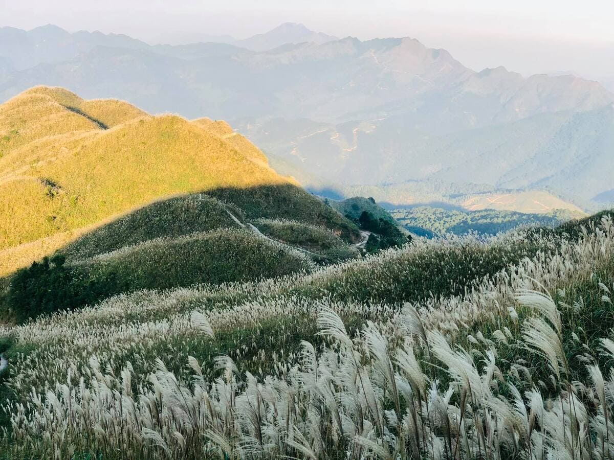 du lịch bình liêu