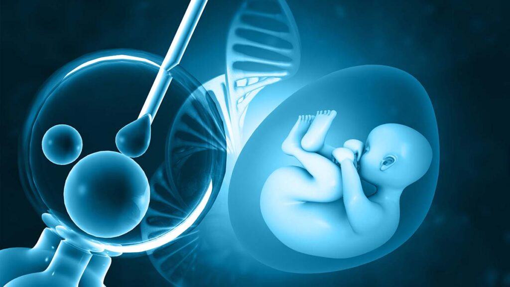 iui và ivf là gì và những điều mẹ cần biết