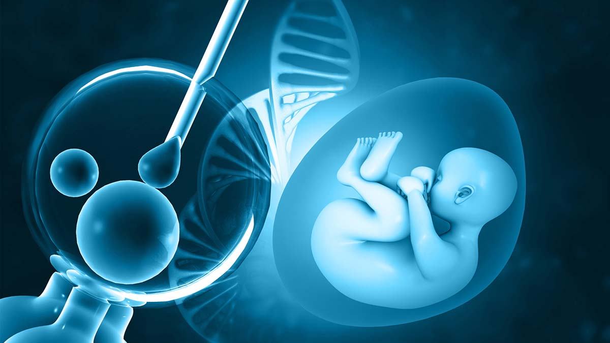 iui và ivf là gì và những điều mẹ cần biết