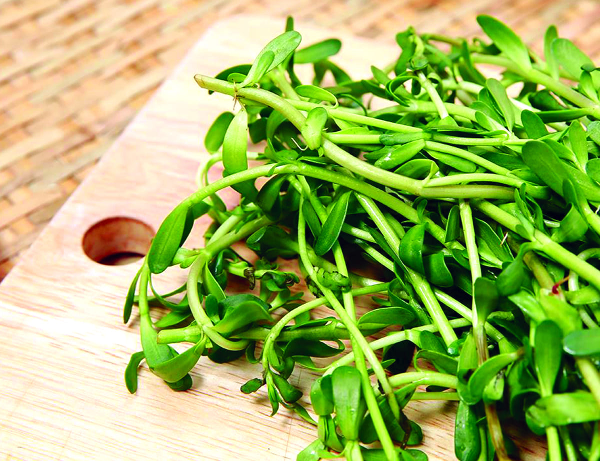 nguyên liệu nấu bánh canh cá lóc nguyên liệu nấu bánh canh cá lóc