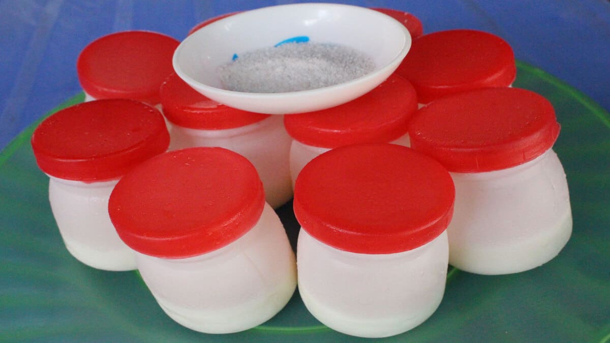 Làng Yaourt Muối Làng Yaourt Muối