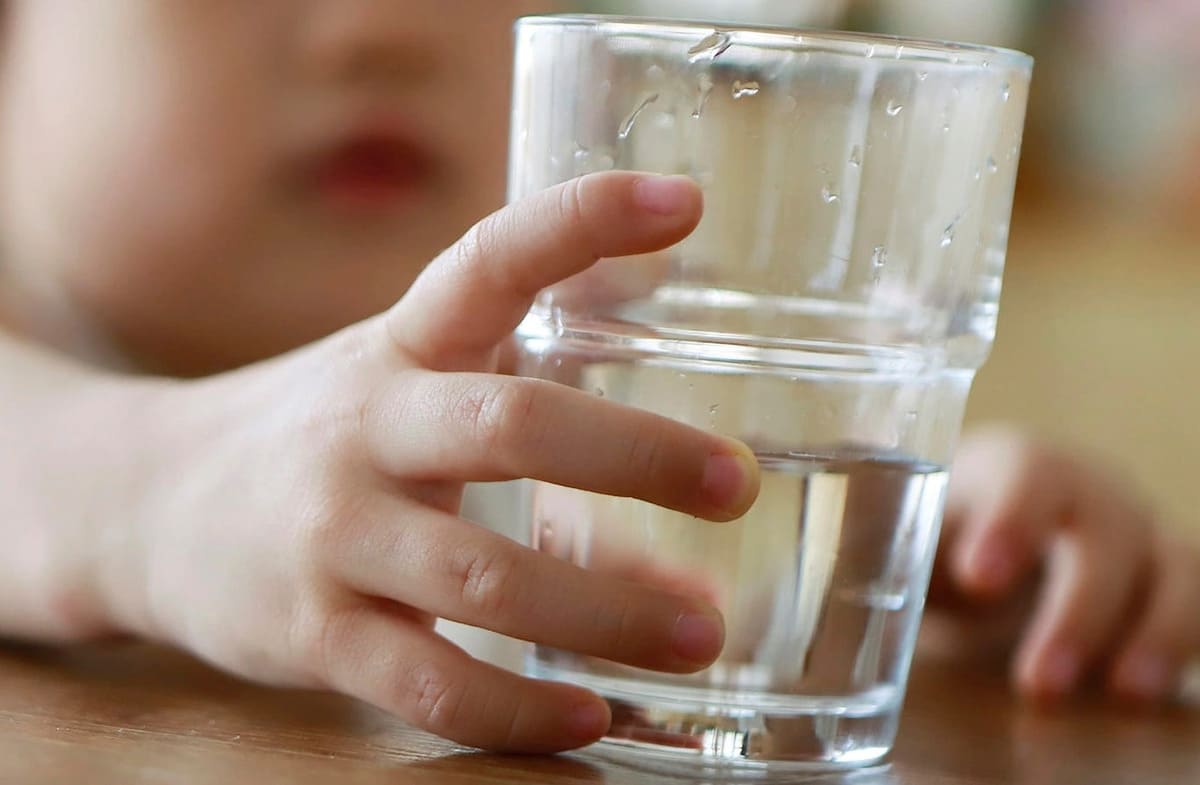 ngộ độc thực phẩm ngộ độc thực phẩm
