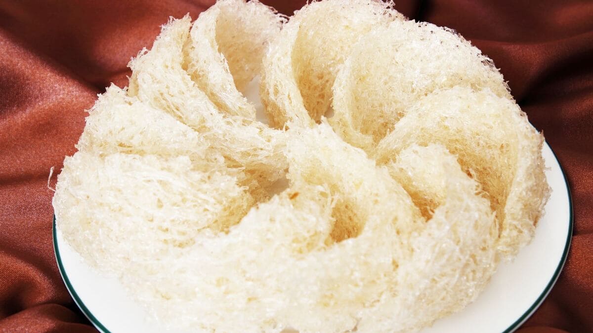 công dụng của yến sào
