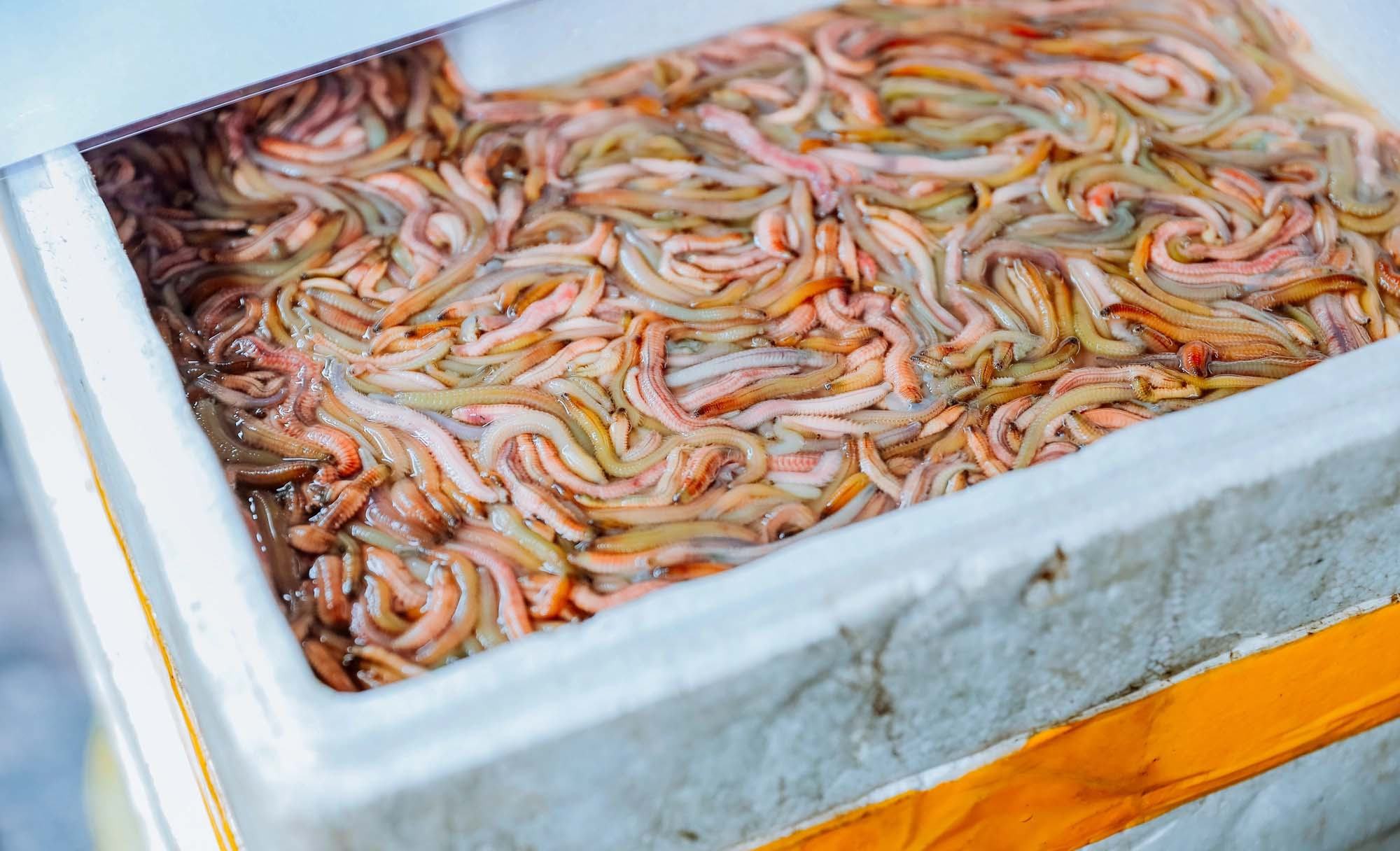 cách làm chả rươi miền Nam