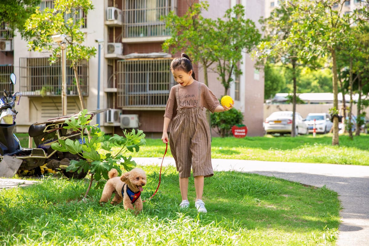 Đi bộ giảm mỡ bụng không và làm sao để đốt cháy mỡ bụng hiệu quả? 37 bí quyết đi bộ giảm mỡ bụng