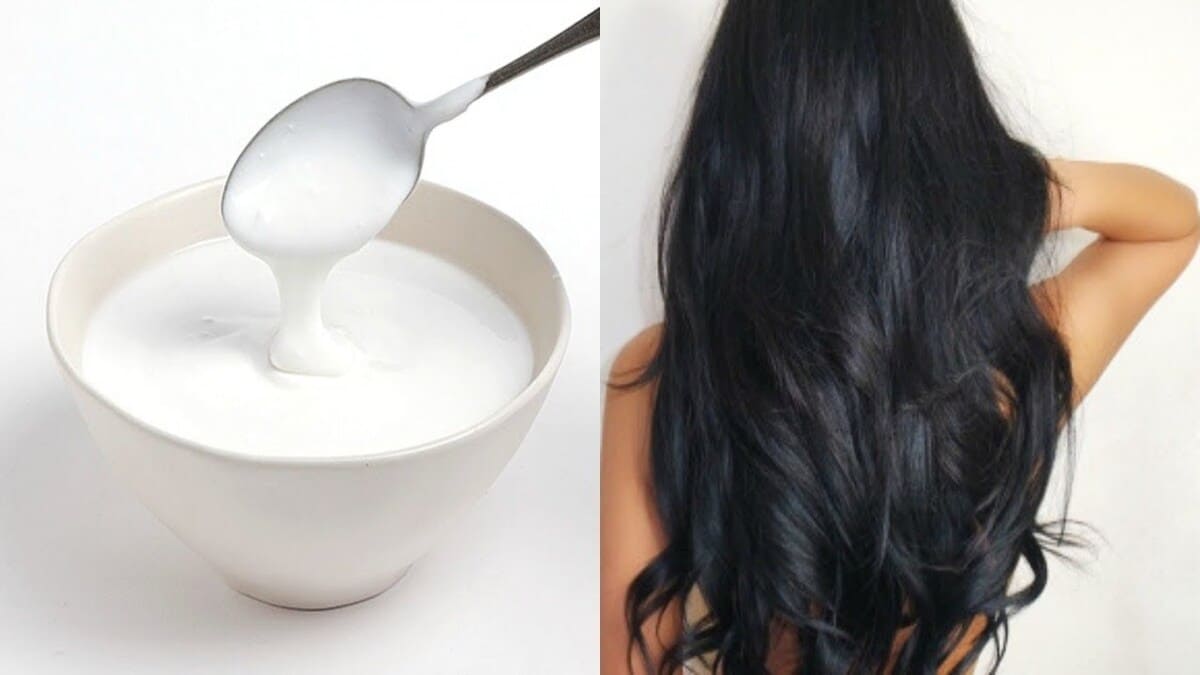 10 cách dưỡng ẩm cho tóc, cùng nàng tự tin đón Tết 40 dưỡng tóc bóng mượt