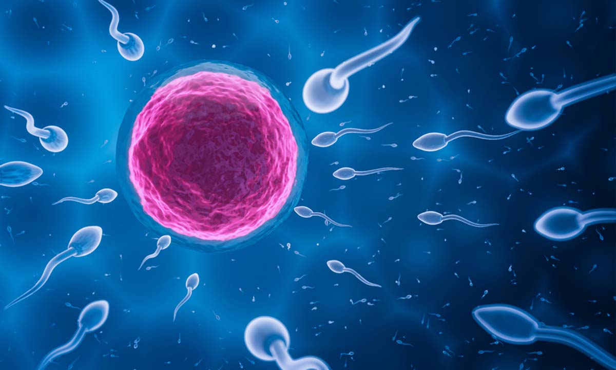 tư vấn khám tiền sản