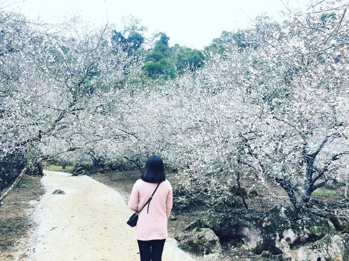 Bản đồ du lịch Việt Nam tháng 1 Bản đồ du lịch Việt Nam tháng 1