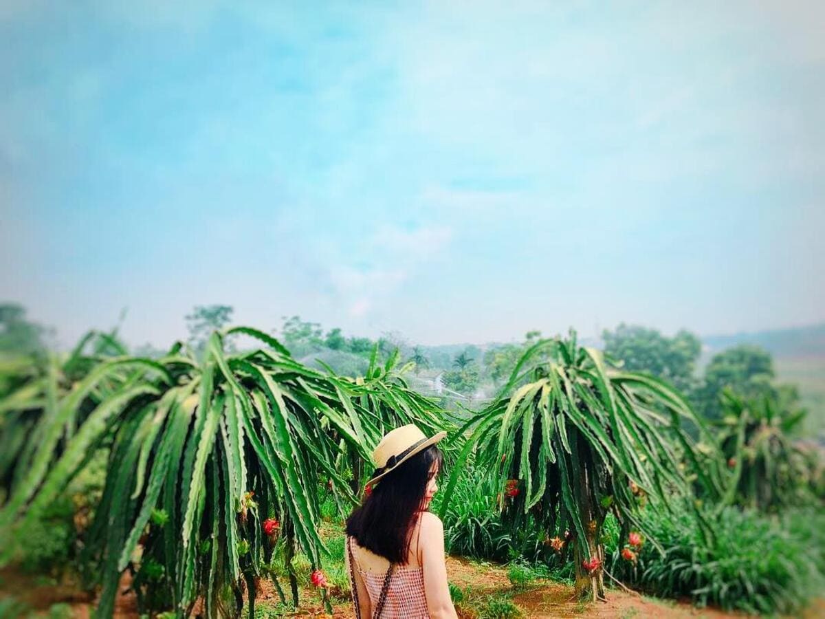 bản đồ du lịch việt nam tháng 8 bản đồ du lịch việt nam tháng 8