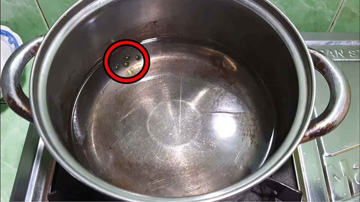 viêng xông giải cảm cách sử dụng viên xông cho người lớn