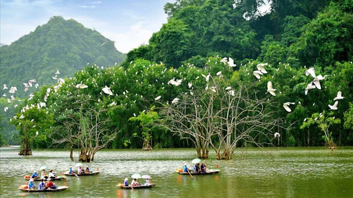 du lịch thung nham du lịch thung nham