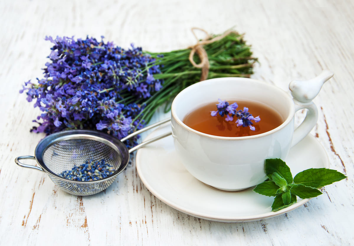 trà hoa oải hương cách trị mất ngủ sau sinh